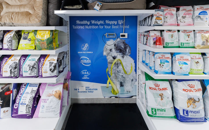Veterinary diet display between the Monge and Royal Canin shelves at Healthy Pet Hospital