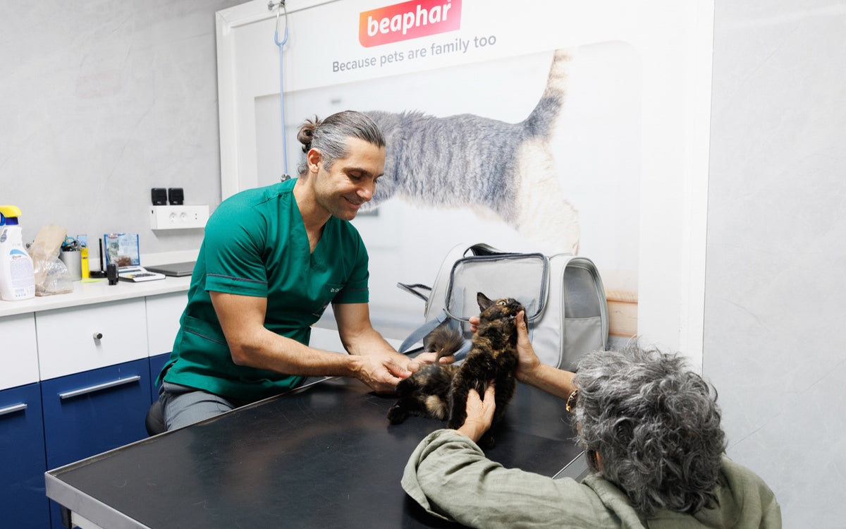 Dr Chadi Tarek examining a cat with its owner during a consultation at Healthy Pet Hospital