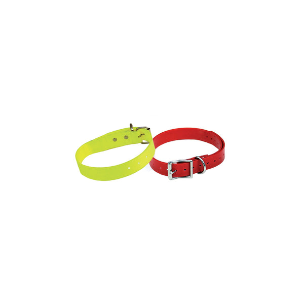 010602501 freedog hunting dog collar red