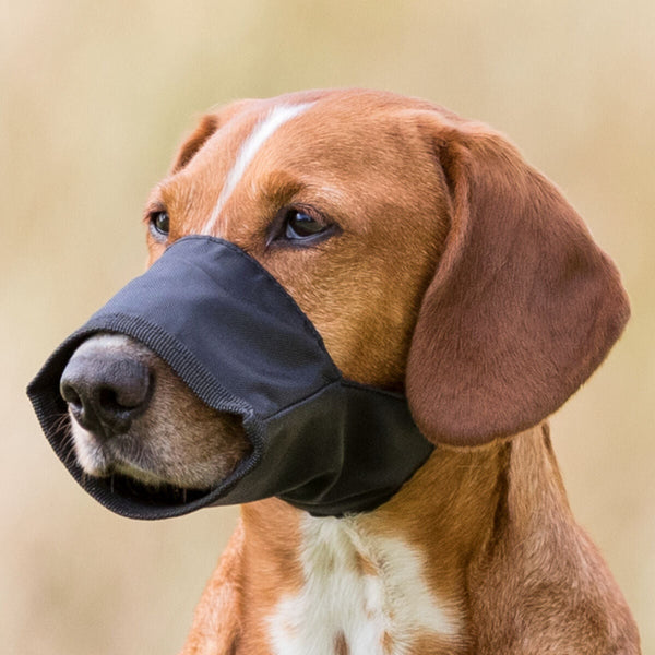 Trixie Muzzle Nylon for Dog