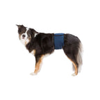 Trixie Male Dog Diaper for Dog