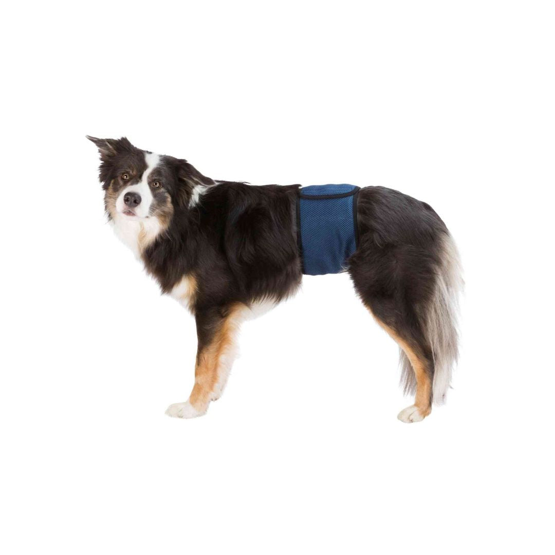 Trixie Male Dog Diaper for Dog