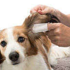 Trixie Ear Care Fingerlings for Dog and Cat