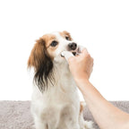 Trixie Dental Care Fingerlings for Dog and Cat