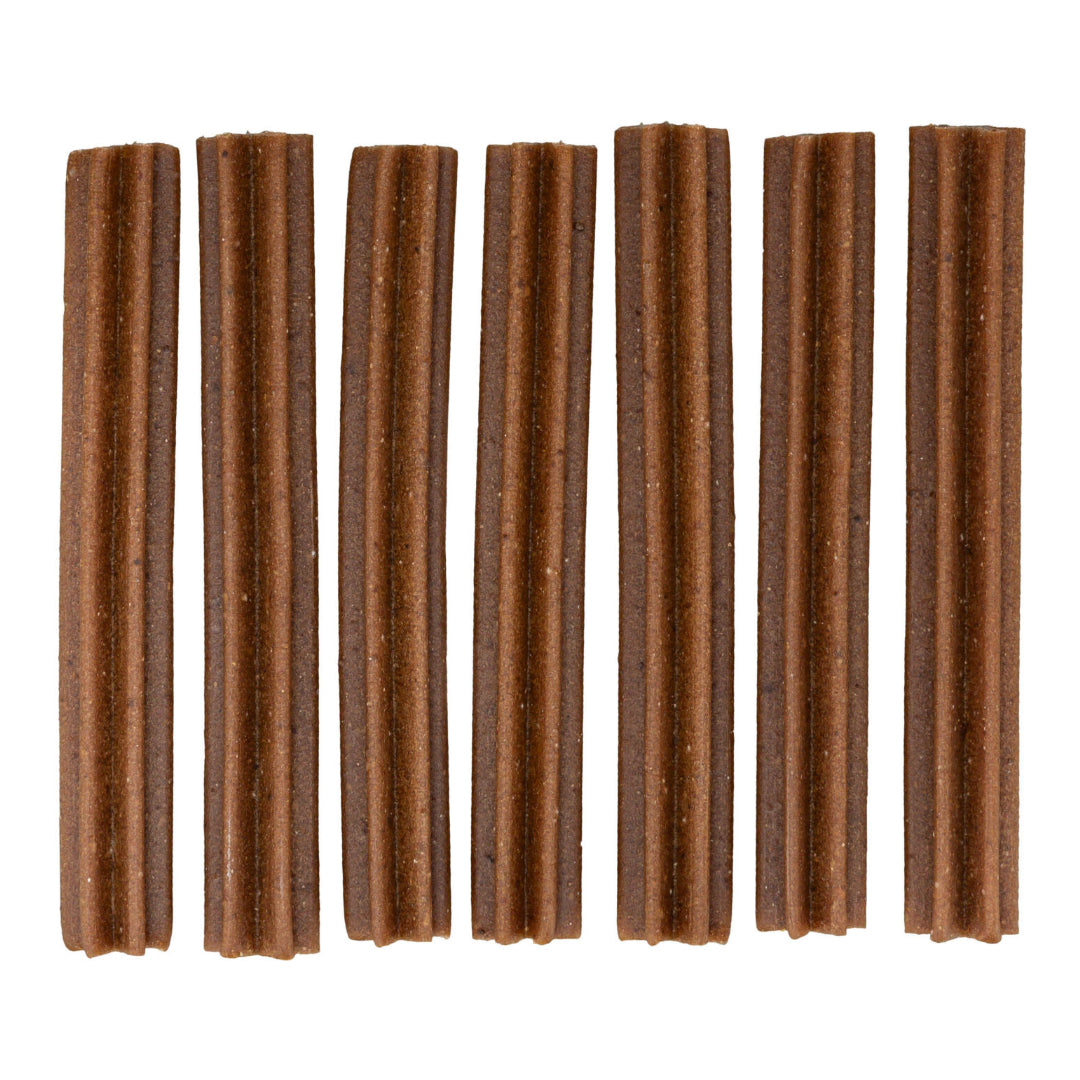 Trixie Denta Fun Dentros for Dog