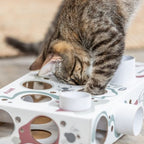 Trixie Paws & Treats Box for Cat