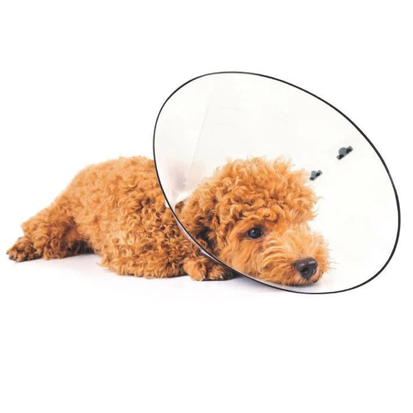 Bastion Protective Collar - view 2