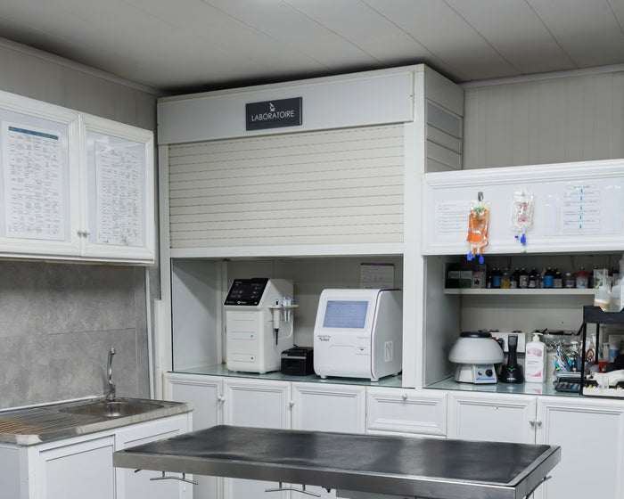 Laboratory Testing