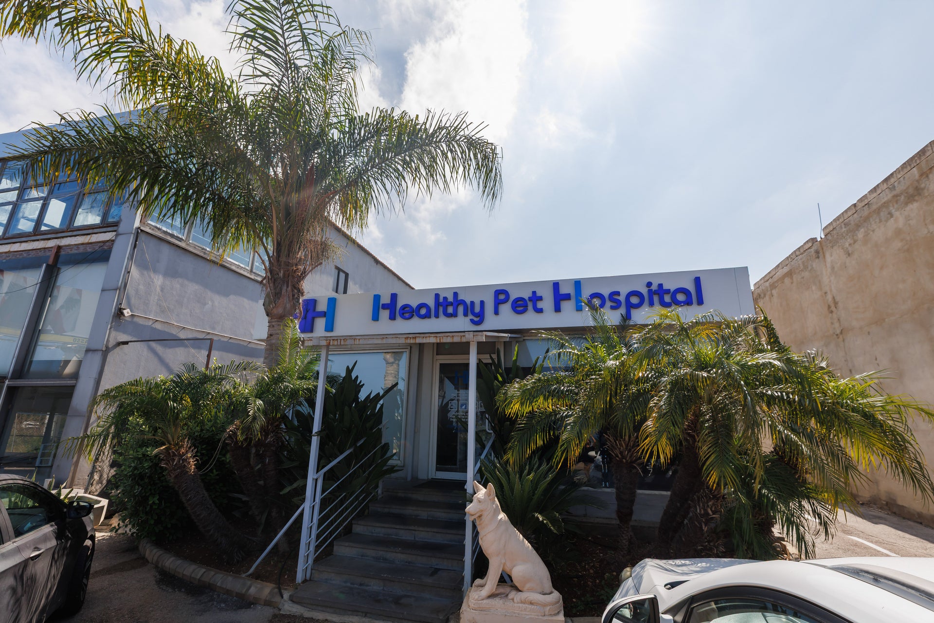 Healthy Pet Hospital in Byblos, Lebanon