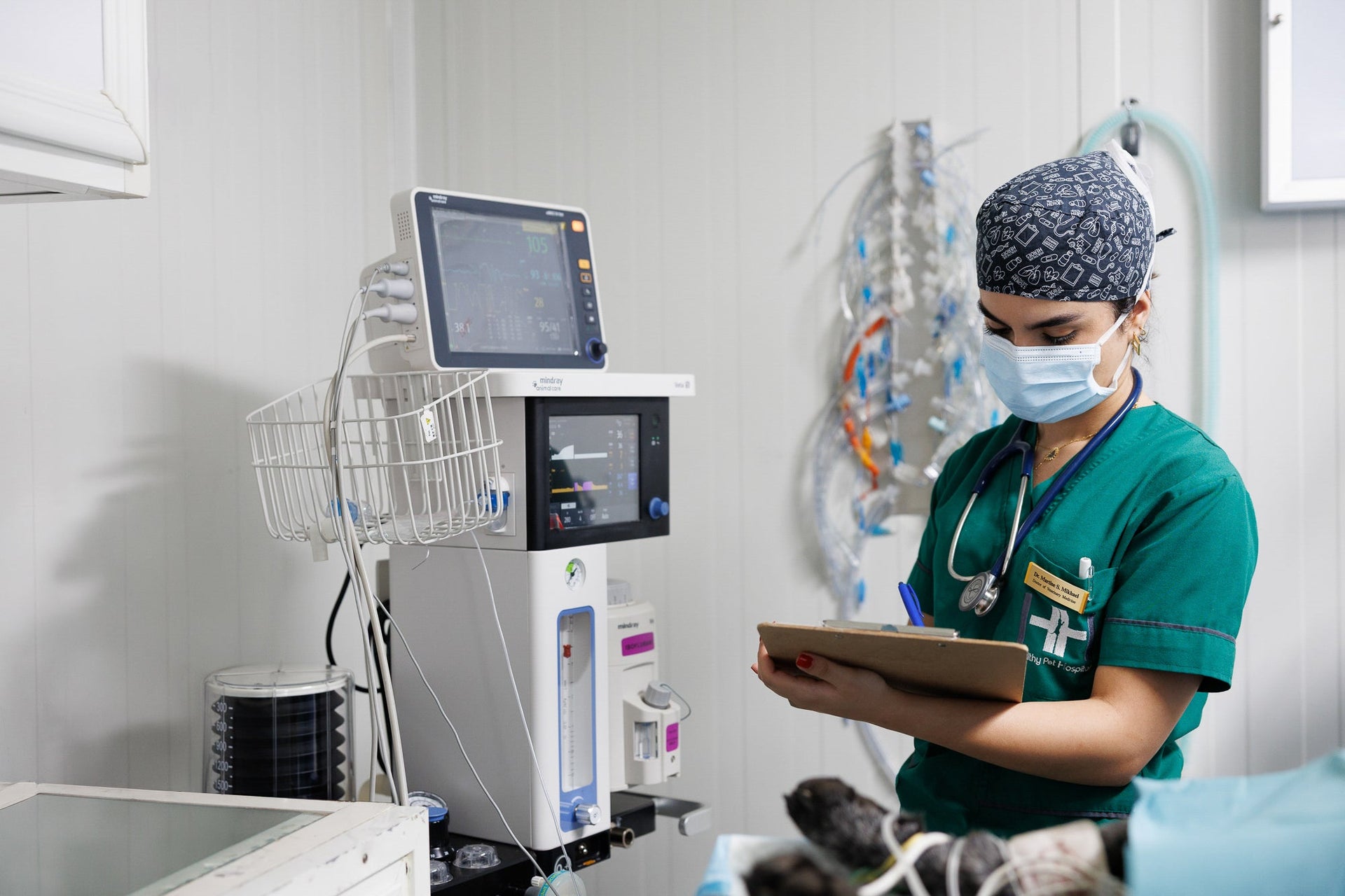 Veterinary services at Healthy Pet Hospital