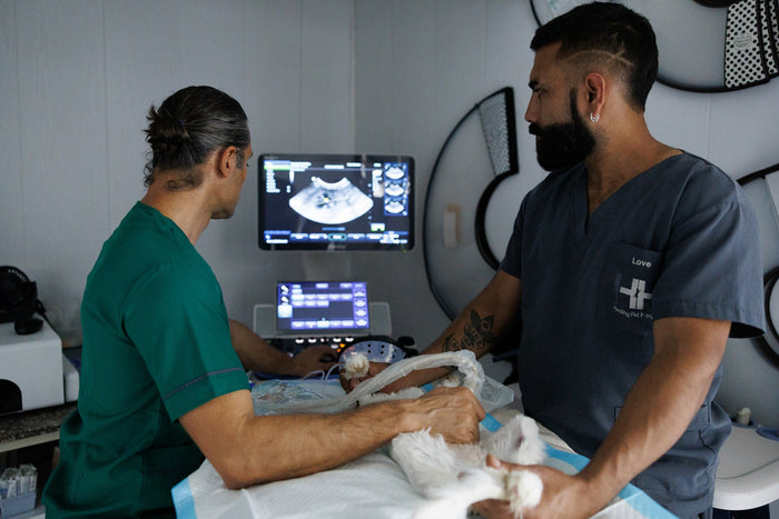 Advanced Diagnostics