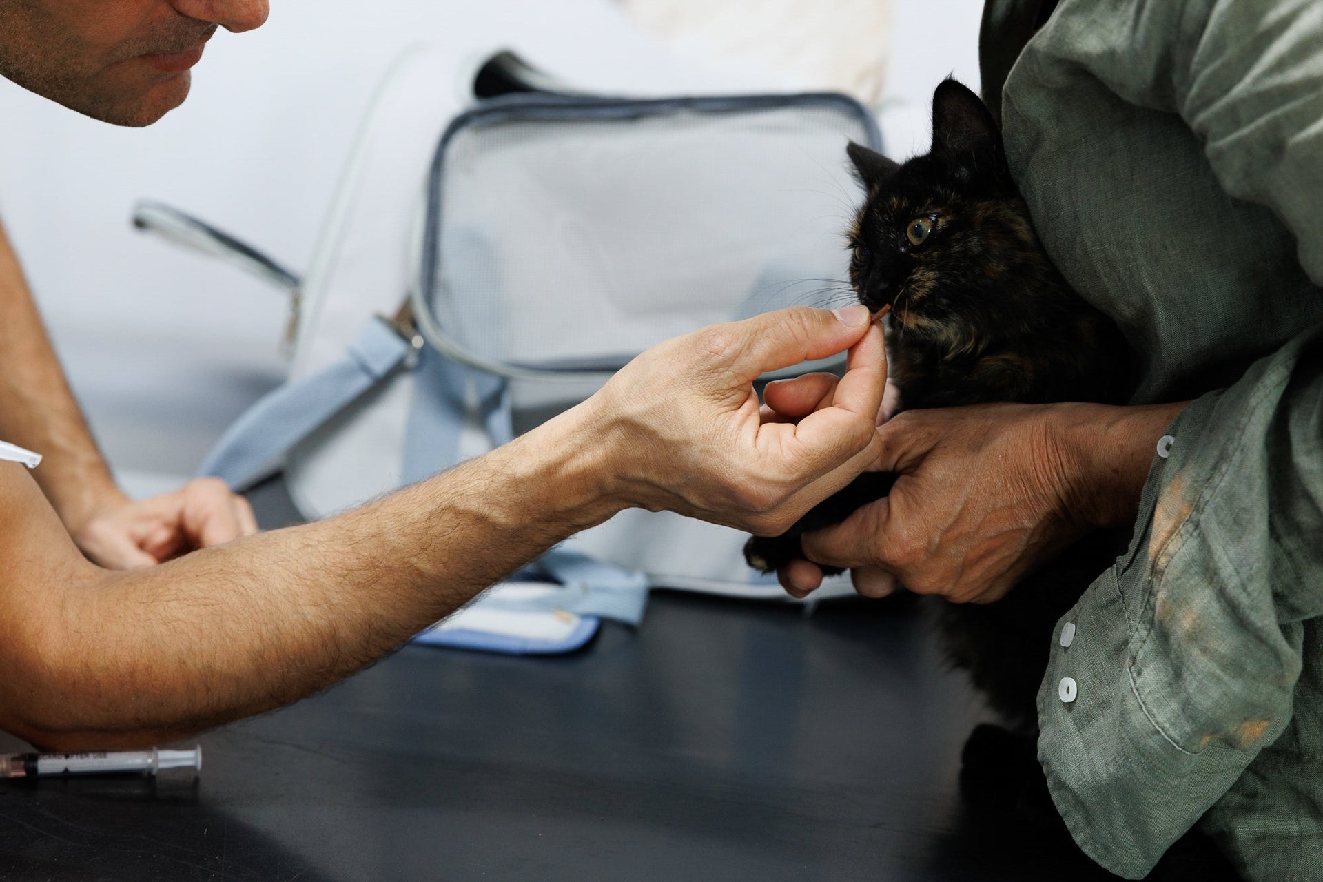 Person holding a black cat with another person's hand on a table, with medical equipment in the background.