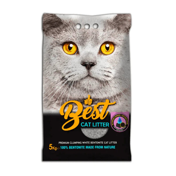 Best Litter
