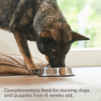 beaphar calcium tablets dog
