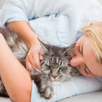 beaphar laveta cat vitamin coat
