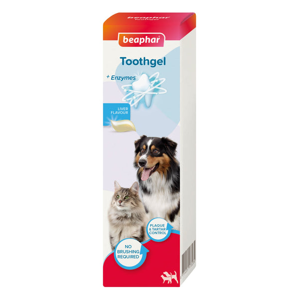 beaphar tooth gel dental dog cat