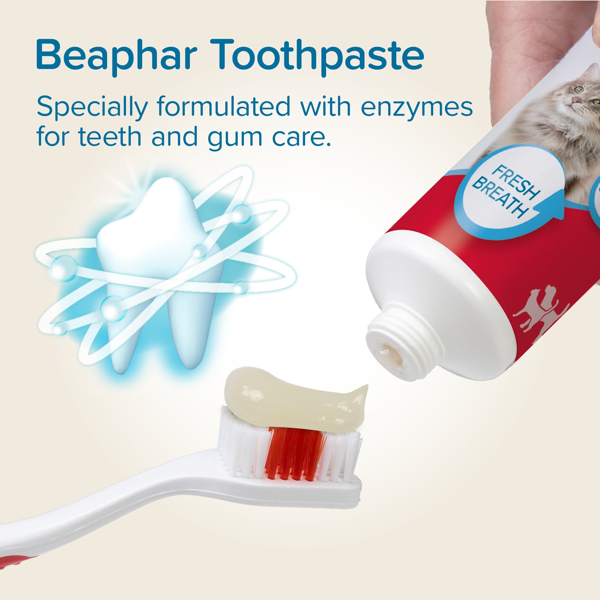 beaphar toothpaste liver dog cat dental