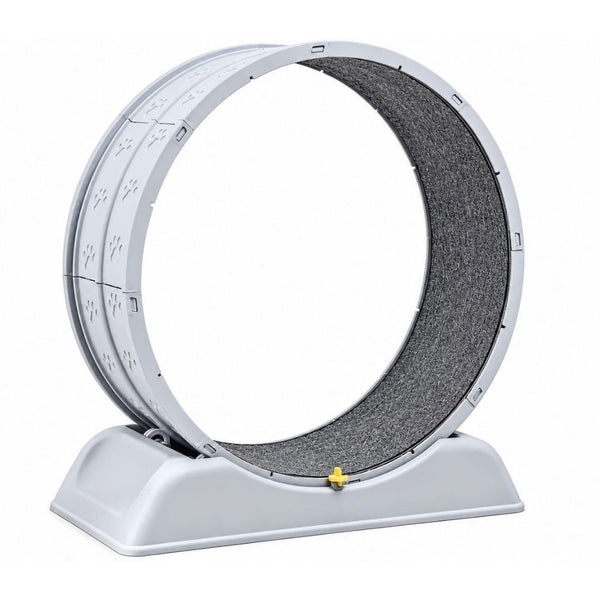 Cat Exercise Wheel for Indoor Cats