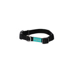 freedog basic nylon collar black dog