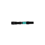 freedog basic nylon collar black dog