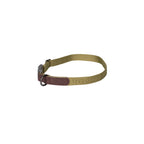 freedog linum collar green forest dog