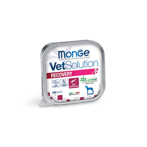 monge vetsolution recovery dog wet food