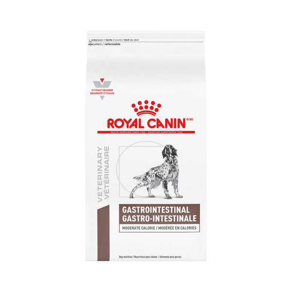 Royal Canin Gastrointestinal dog food package on a white background