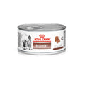 Royal Canin Recovery Cat