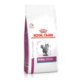Royal Canin Renal Special Cat
